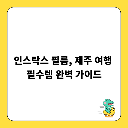 인스탁스 필름, 제주 여행 필수템 완벽 가이드