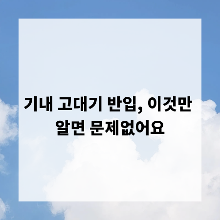 기내 고대기 반입, 이것만 알면 문제없어요