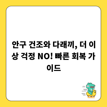 안구 건조와 다래끼, 더 이상 걱정 NO! 빠른 회복 가이드