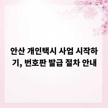 안산 개인택시 사업 시작하기, 번호판 발급 절차 안내