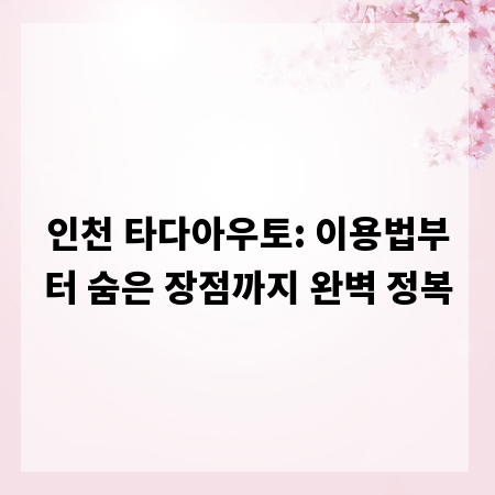 인천 타다아우토: 이용법부터 숨은 장점까지 완벽 정복