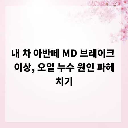 내 차 아반떼 MD 브레이크 이상, 오일 누수 원인 파헤치기