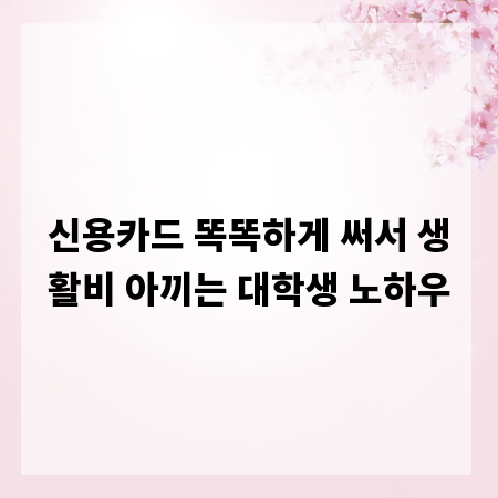 신용카드 똑똑하게 써서 생활비 아끼는 대학생 노하우