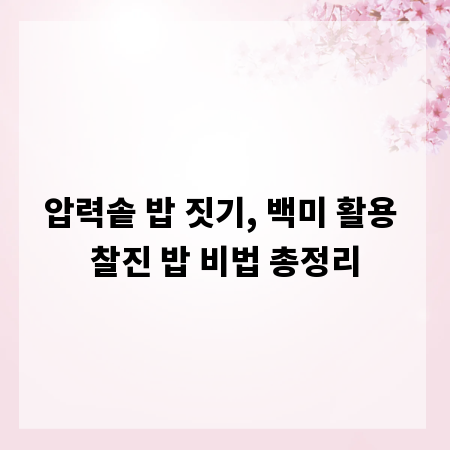 압력솥 밥 짓기, 백미 활용 찰진 밥 비법 총정리