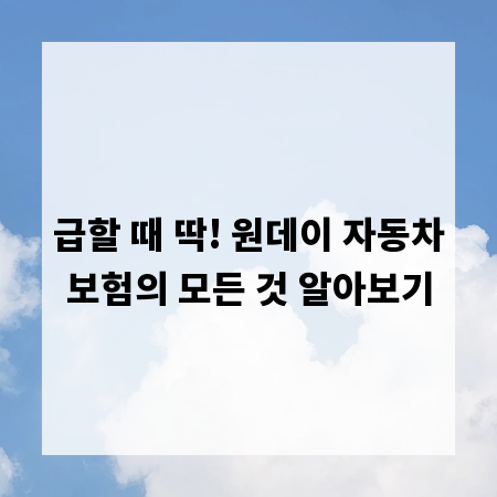 급할 때 딱! 원데이 자동차보험의 모든 것 알아보기