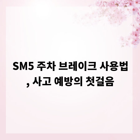 SM5 주차 브레이크 사용법, 사고 예방의 첫걸음