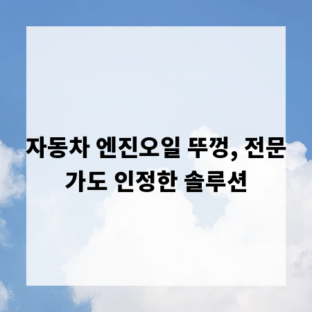 자동차 엔진오일 뚜껑, 전문가도 인정한 솔루션