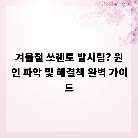 겨울철 쏘렌토 발시림? 원인 파악 및 해결책 완벽 가이드