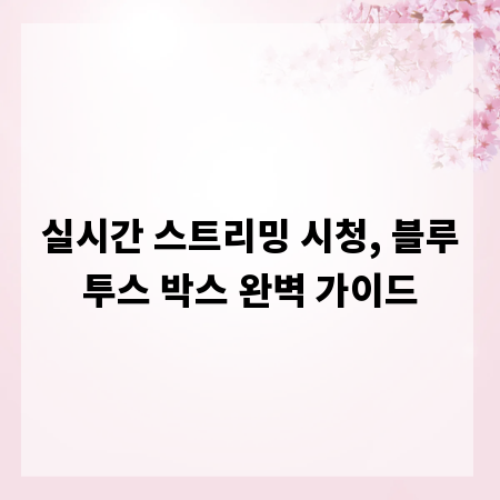 실시간 스트리밍 시청, 블루투스 박스 완벽 가이드