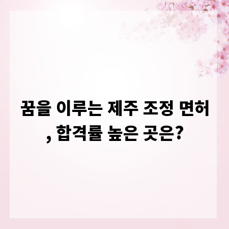 꿈을 이루는 제주 조정 면허, 합격률 높은 곳은?