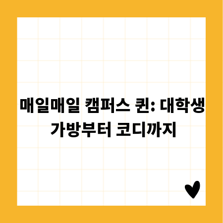 매일매일 캠퍼스 퀸: 대학생 가방부터 코디까지