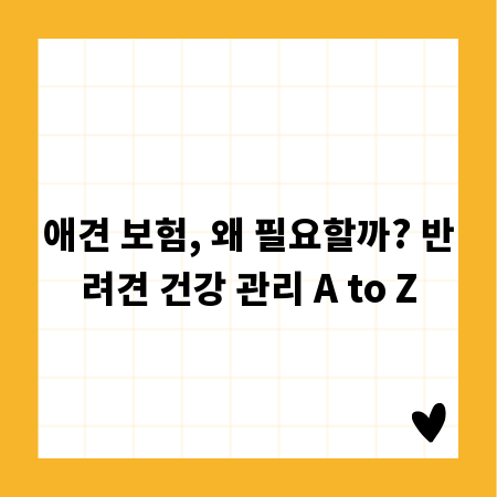 애견 보험, 왜 필요할까? 반려견 건강 관리 A to Z