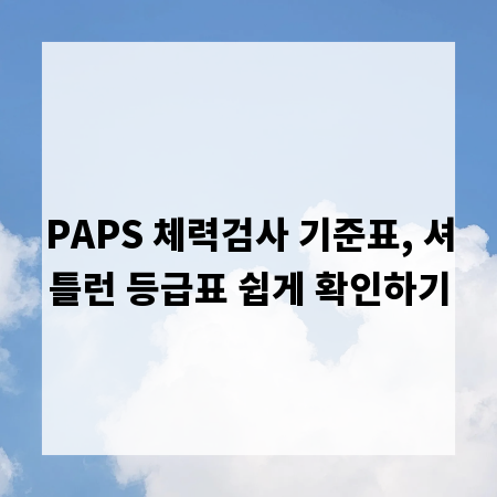 PAPS 체력검사 기준표, 셔틀런 등급표 쉽게 확인하기