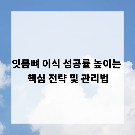 잇몸뼈 이식 성공률 높이는 핵심 전략 및 관리법