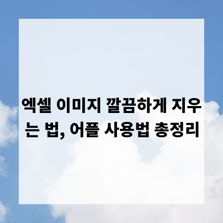엑셀 이미지 깔끔하게 지우는 법, 어플 사용법 총정리