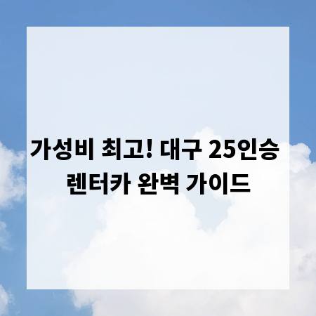 가성비 최고! 대구 25인승 렌터카 완벽 가이드