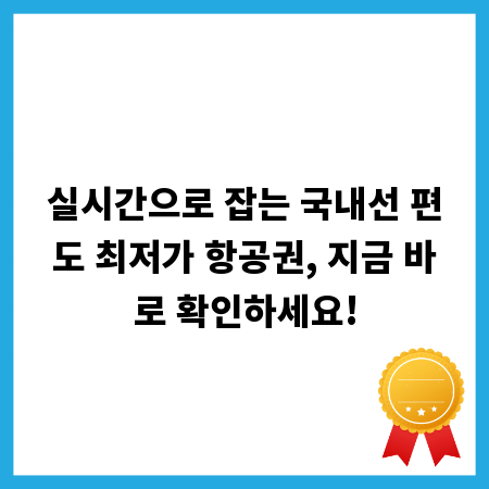실시간으로 잡는 국내선 편도 최저가 항공권, 지금 바로 확인하세요!