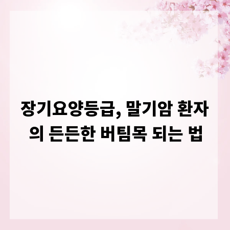 장기요양등급, 말기암 환자의 든든한 버팀목 되는 법