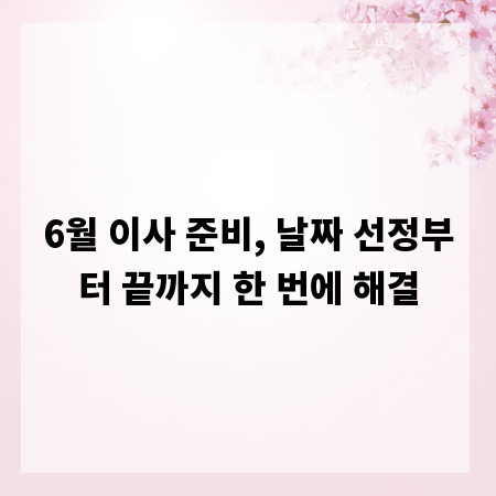 6월 이사 준비, 날짜 선정부터 끝까지 한 번에 해결