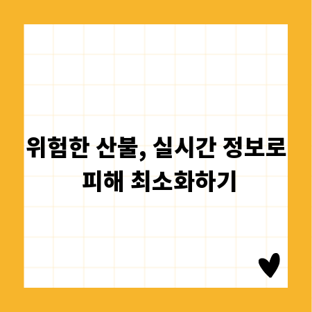 위험한 산불, 실시간 정보로 피해 최소화하기