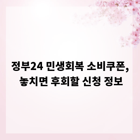 정부24 민생회복 소비쿠폰, 놓치면 후회할 신청 정보