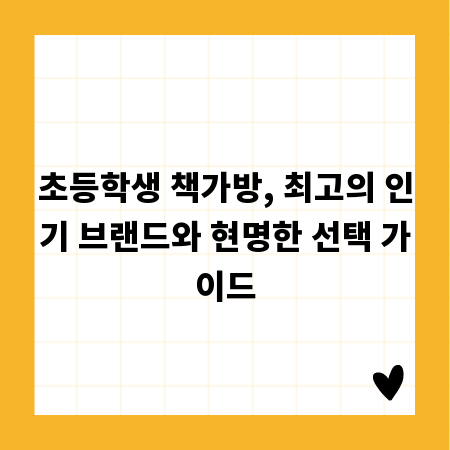 초등학생 책가방, 최고의 인기 브랜드와 현명한 선택 가이드