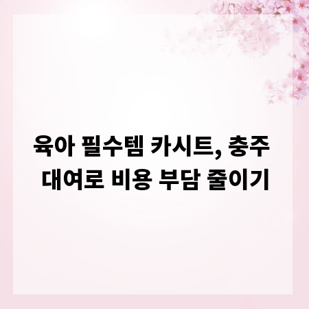 육아 필수템 카시트, 충주 대여로 비용 부담 줄이기