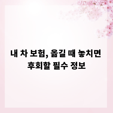 내 차 보험, 옮길 때 놓치면 후회할 필수 정보