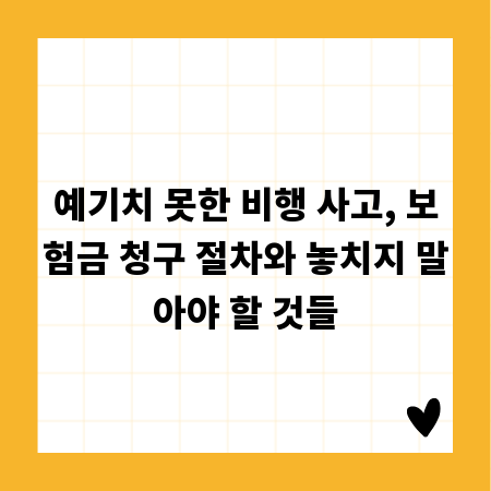 예기치 못한 비행 사고, 보험금 청구 절차와 놓치지 말아야 할 것들
