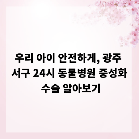 우리 아이 안전하게, 광주 서구 24시 동물병원 중성화 수술 알아보기