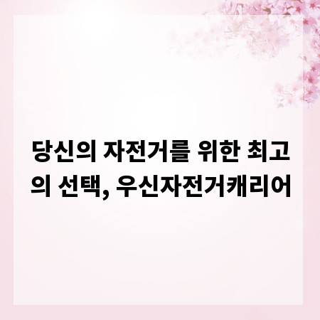 당신의 자전거를 위한 최고의 선택, 우신자전거캐리어