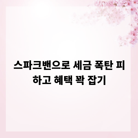 스파크밴으로 세금 폭탄 피하고 혜택 꽉 잡기