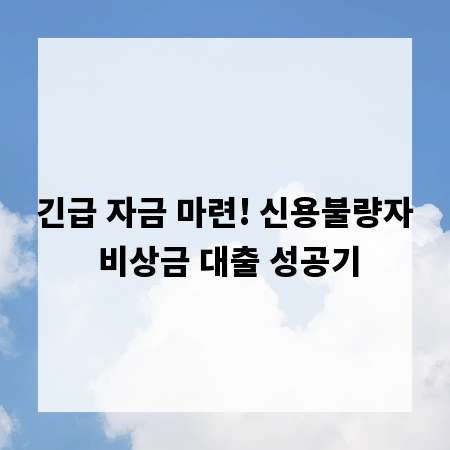 긴급 자금 마련! 신용불량자 비상금 대출 성공기