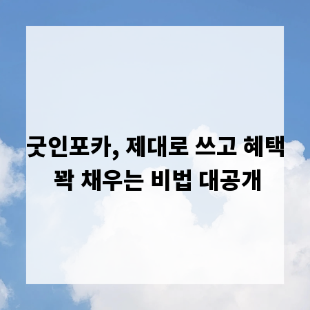 굿인포카, 제대로 쓰고 혜택 꽉 채우는 비법 대공개