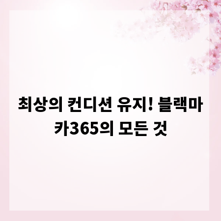 최상의 컨디션 유지! 블랙마카365의 모든 것