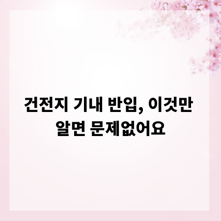 건전지 기내 반입, 이것만 알면 문제없어요