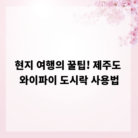 현지 여행의 꿀팁! 제주도 와이파이 도시락 사용법