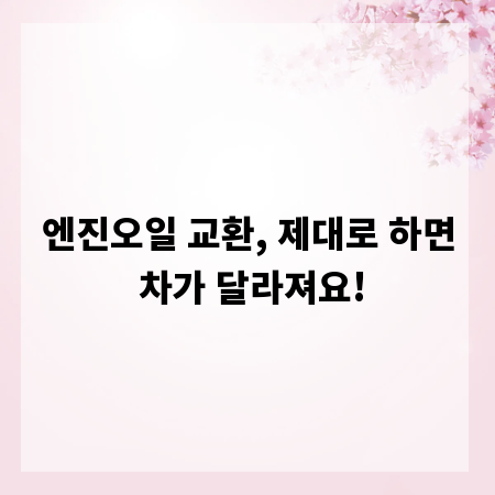 엔진오일 교환, 제대로 하면 차가 달라져요!