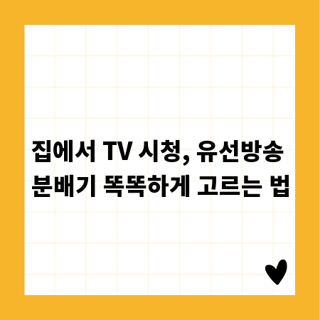 집에서 TV 시청, 유선방송 분배기 똑똑하게 고르는 법