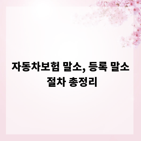 자동차보험 말소, 등록 말소 절차 총정리