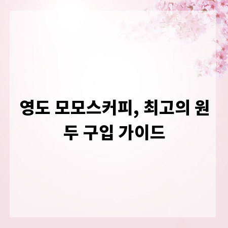 영도 모모스커피, 최고의 원두 구입 가이드