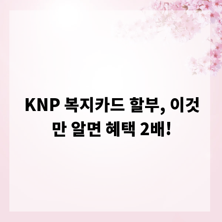 KNP 복지카드 할부, 이것만 알면 혜택 2배!