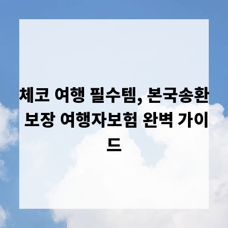 체코 여행 필수템, 본국송환 보장 여행자보험 완벽 가이드