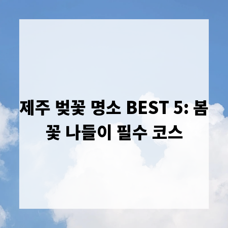 제주 벚꽃 명소 BEST 5: 봄꽃 나들이 필수 코스