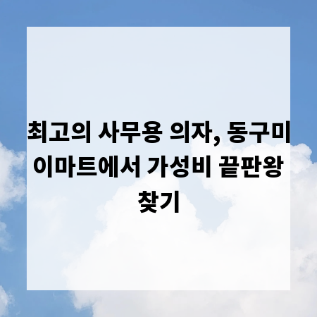 최고의 사무용 의자, 동구미 이마트에서 가성비 끝판왕 찾기