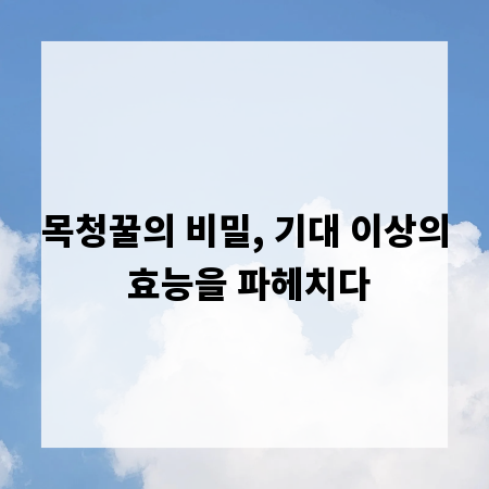 목청꿀의 비밀, 기대 이상의 효능을 파헤치다