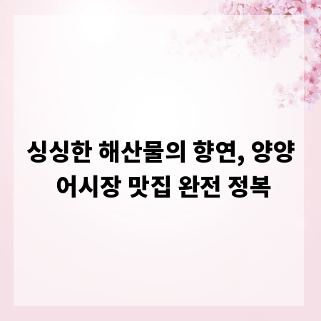 싱싱한 해산물의 향연, 양양 어시장 맛집 완전 정복