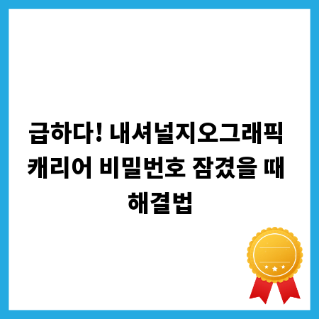 급하다! 내셔널지오그래픽 캐리어 비밀번호 잠겼을 때 해결법