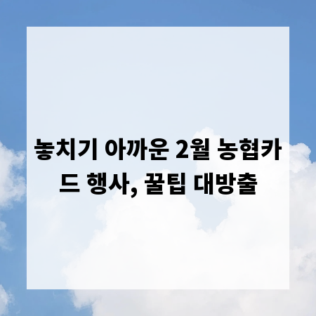 놓치기 아까운 2월 농협카드 행사, 꿀팁 대방출